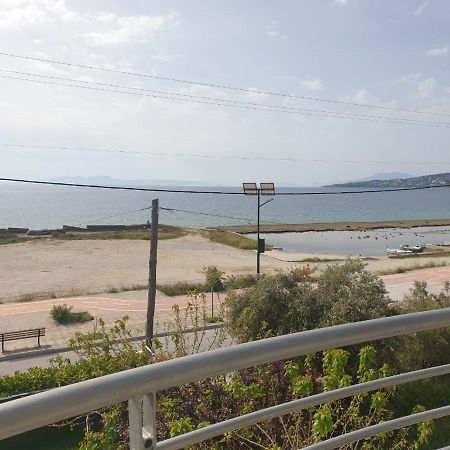 Bella Vista Lägenhet Volos Exteriör bild